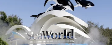 SeaWorld’s Evolution: From Family Favorite to Public Controversy