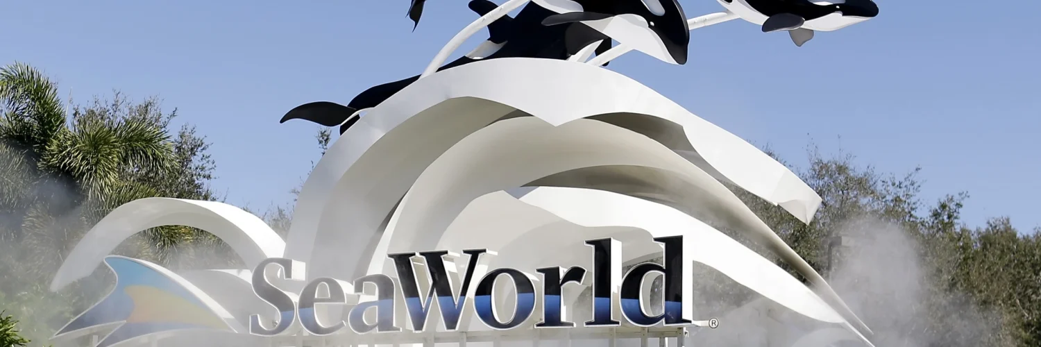 SeaWorld’s Evolution: From Family Favorite to Public Controversy