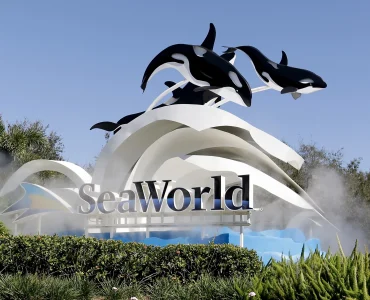 SeaWorld’s Evolution: From Family Favorite to Public Controversy