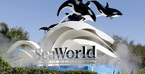 SeaWorld’s Evolution: From Family Favorite to Public Controversy