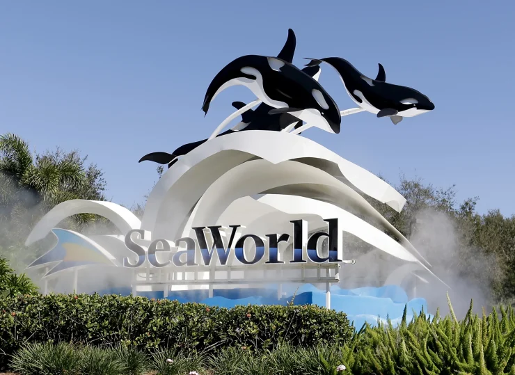 SeaWorld’s Evolution: From Family Favorite to Public Controversy