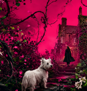 It Could Have Been Her by Lisa Jewell [Book Review]