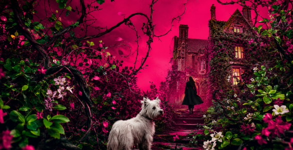 It Could Have Been Her by Lisa Jewell [Book Review]