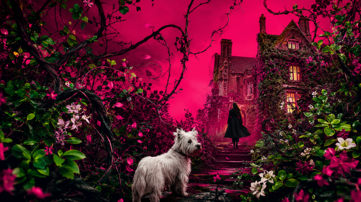 It Could Have Been Her by Lisa Jewell [Book Review]
